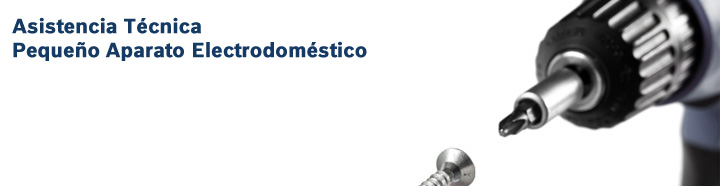 Asistencia Técnica PAE