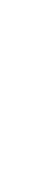 Siliconio