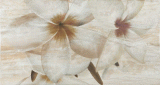 BRECIA Decor 2