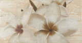 Decor&nbsp;DAINO Decor 2