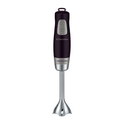 ESTM4400