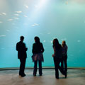 ozeaneum