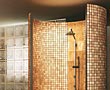 Colonnes de douche