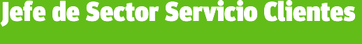 Jefe/a de Sector Servicio Clientes