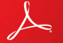 Adobe Reader X 10.0.1