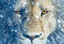 Chronicles of Narnia: The Voyage Of The Dawn Treader Trailer