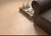 PVTO./FLOOR: PISTOIA ARCE 45X45