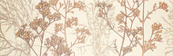 ALAMO-1, DEC - CREAM