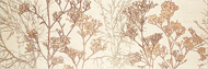 ALAMO-2, DEC - CREAM