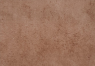DREAM - MARRON