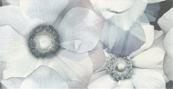 FLORAL, DEC - PERLA