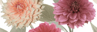 FLORES DAHLIA, DEC - 