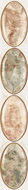 JADE, LIST - 