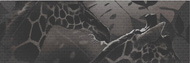 LIFE, DEC - 