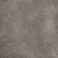 REEF - SILVER
