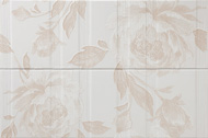 ROSAL PACK 2 DEC - VISON