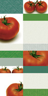 TOMATO DEC - BLANCO