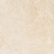 BECARA - MARFIL