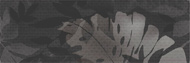 ECOLOGY, DEC - 