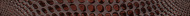 SHINE, LIST - NEGRO
