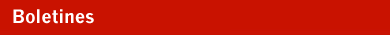 Corporative information