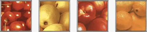 Confit Integral - 4