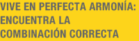 Vive en perfecta armonía: encuentra la combinación correcta
