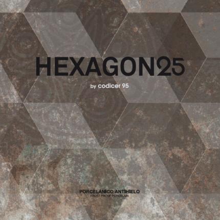 HEXAGON 25