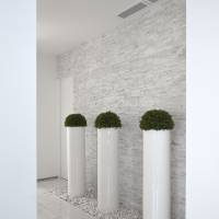 Office Moscow Palace Carrara