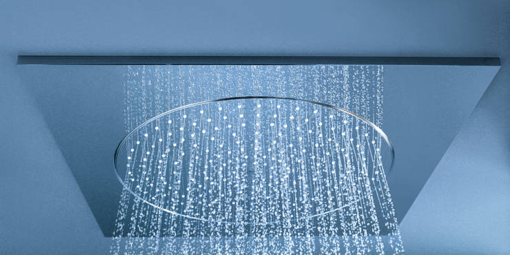 Rainshower F-Series Ducha de techo de