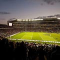 eden-park-stadium