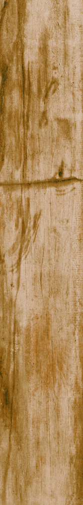Sherwood