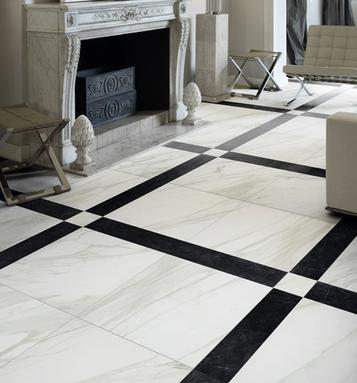 Evolutionmarble