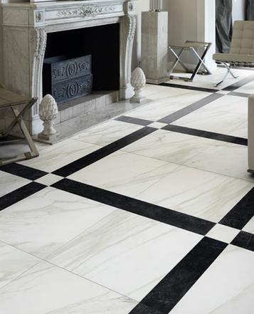 Evolutionmarble