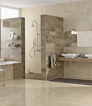 Evolutionmarble
