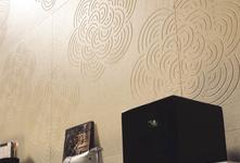 EvolutionStone - gres fino porcelánico efecto piedra