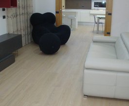 ElyAlfo House