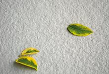 SistemE - gres porcelánico para la pavimentación y el revestimiento