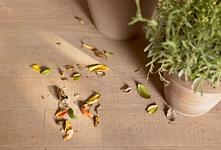 Treverk Outdoor - gres fino porcelánico efecto madera exteriores