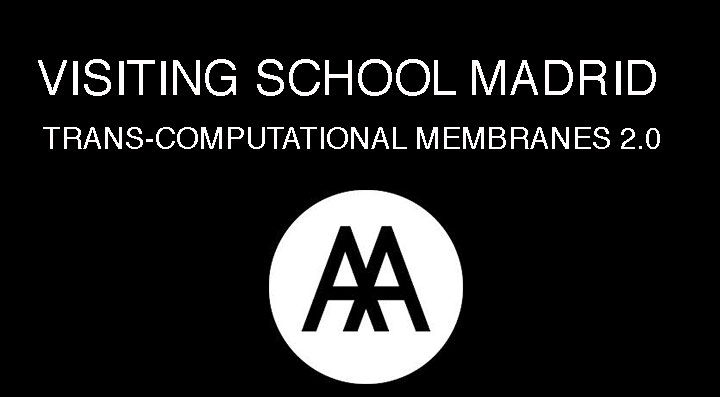 Taller internacional “Trans-Computational Membranes 2.0”