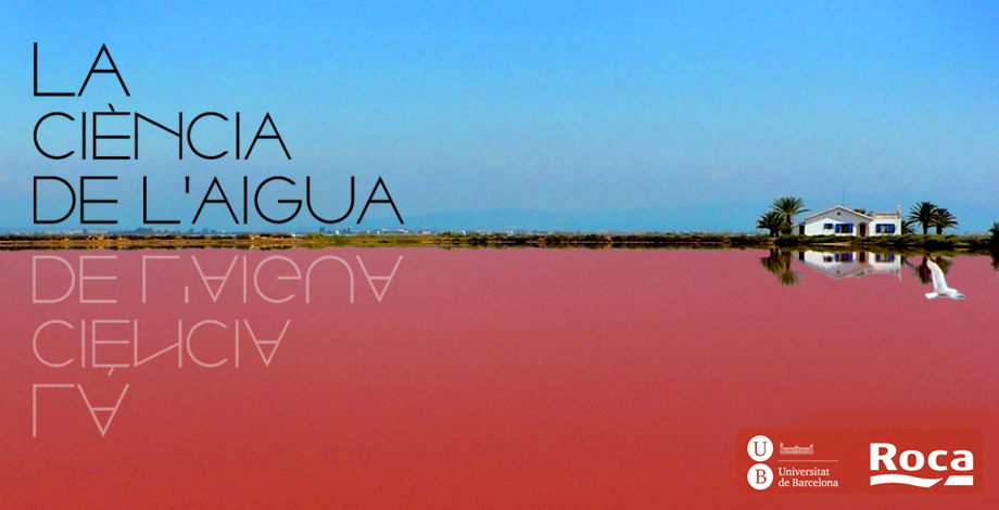La ciencia del agua. 11&ordf; Sesi&oacute;n