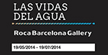 Exposici&oacute;n temporal: Las vidas del agua
