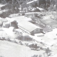 1 ontinyent 1950