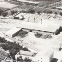 2 l'alcudia de crespins 1968