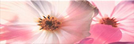 Revestimiento Decorado Fiore