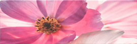 Revestimiento Decorado Fiore