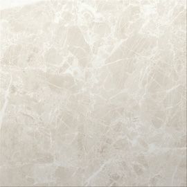 Pavimento Porcel�nico DINIA 60X60 BRILLO