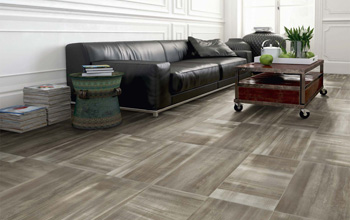 Ambiente Sal�n Pavimento Porcel�nico Element