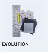 EVOLUTION