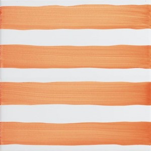 Raya nº2 trepa mandarina 20x20